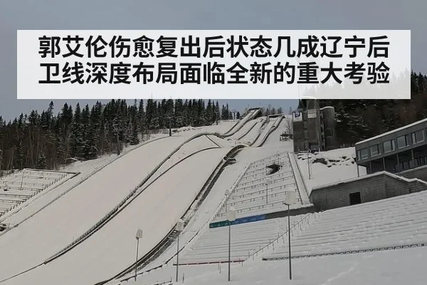 郭艾伦伤愈复出后状态几成辽宁后卫线深度布局面临全新的重大考验
